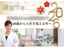 ビューティーワンド ココ(Beauty Wand COCO)