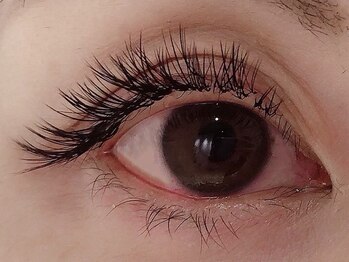 カラン 焼津店(CALIN)/ボリュームラッシュ 120束