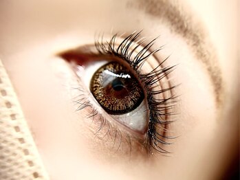 ラニ(Lani)/ブラック×シアーブラウン