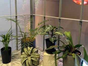 ビビ(VIVI)/癒し空間を…