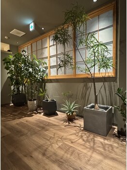 リエー(Relier.)/癒しの空間