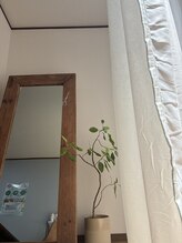 ラズ(Luz)/天窓の光