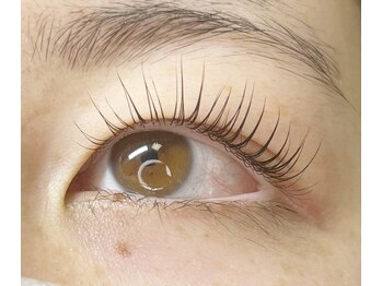 シュガーアイプラス(SUGAR eye plus)/次世代まつ毛パーマ