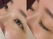 コノハ(KONOHA)/フラットラッシュ120本