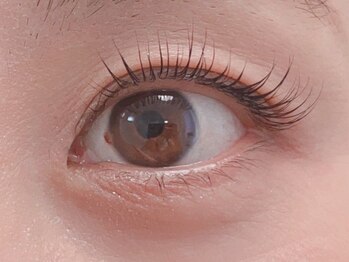 キャン アイラッシュ(CAN EYELASH)の写真/高技術スタッフの丁寧なカウンセリングで理想のまつ毛を実現！まつ毛パーマ×アイブロウで上品な目元へ♪