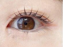 クラリスバイネオ 武蔵小杉(Claris by neo)/ラッシュリフト