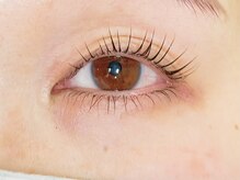 エニーラッシュ(ANYLASH)/上下まつげパーマ