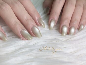 ネイルサロンアンテリジャン 大宮(Antellijan)/マグネット6480円