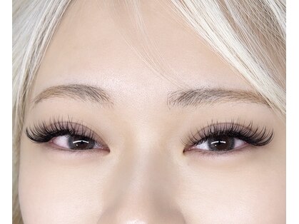 アンジュパッセ(Angepasse)の写真