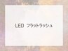 ↓↓ここから下は【LED FLAT LASH】↓↓