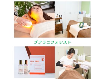 プアラニ フォレスト