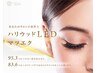 『新着』miss eyed'ol フラットマットラッシュ160本【LED】