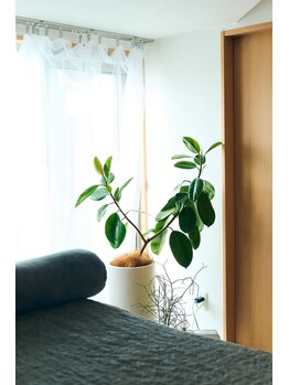 エルマノハナレ/