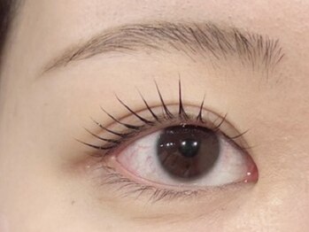 ビオラス(Biolus)/まつげパーマ/ラッシュリフト