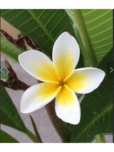 リライフ(Relife) 恒川