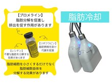 痩身メニュー