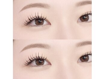 ヘイリー(Hailey 201.)/LED120×パーマ