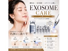 サロン ド アリーナ(Salon de Alina)の雰囲気（顔ワックス&毛穴洗浄 &顔に栄養分を与えるスキンブースター）