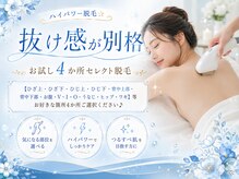 リンガ(Ringa)/選べる４か所セレクト脱毛