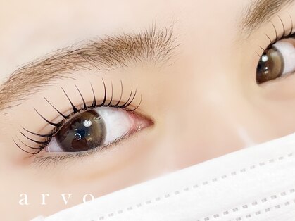 アルボ ムサシ新潟店(arvo)の写真