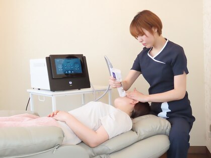 ピレア(Pillea)の写真