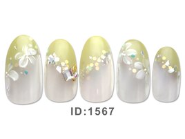 2026年3-4月ジェル定額トレンド