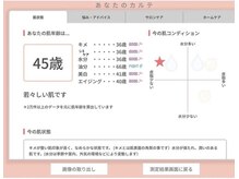 アリエス/肌解析機　iPas