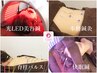 全身美容鍼灸【7種から選択】おまかせ120分¥30800→22000