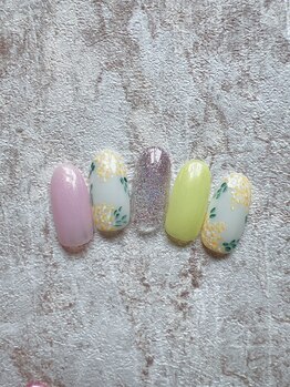 ミテソロ(mi tesoro)/2025年3月デザインコースB