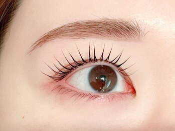 アイラッシュサロン ハルの写真/【ラッシュリフト&アイブロウSETメニューあり◎】眉メイクが苦手な方に！眉とまつげのセットで垢抜けeye♪