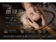 テラ(TERRA)の雰囲気（お客様のお悩みに合わせてハーブを選択して頭身浴を行います）