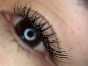 ビビ(VIVI)/バインドロック60束