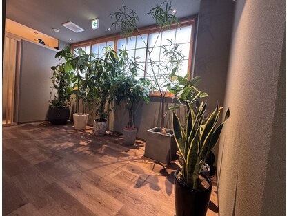 リエー(Relier.)の写真