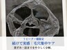 【続けて実感｜毛穴集中】黒ずみ・詰まりをやさしく分解。毛穴レスな透明肌へ