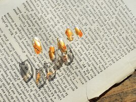 1月select(J)5,980円/全10種