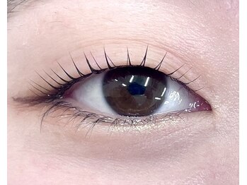 ビーティー(bT)/ラッシュリフト(まつ毛パーマ)