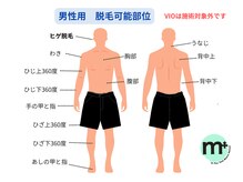 エムプラス 東戸塚(M+)/男性用★施術可能部位
