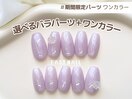 ワンカラー/パラジェル/バラ