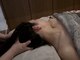 ヒルリン(Hirurin)の写真