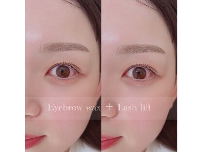 コウメ(coume)の写真