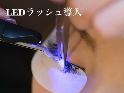 セレンディピティ(Serendipity)の写真