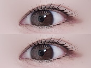 リノ(Lino)/カールデザイン