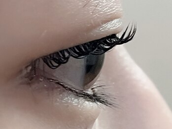 チュリップサカエ(Tulipe sakae)/LEDエクステ×まつげパーマ