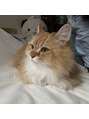 エムズアイブロウ 天王寺店(M'sアイブロウ)&nbsp;愛猫がいます！！