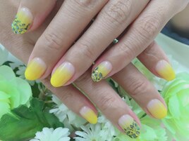 カラグラにシェル