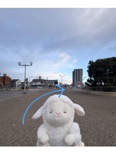 夢心地/道案内1