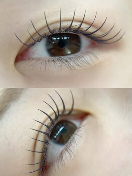 ムニ(muni)/LEDフラットラッシュ140本