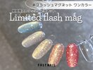 フラッシュ/パラジェル/マグ