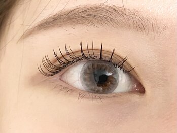 リノ 天神(LINO)/フラットマットラッシュ100本