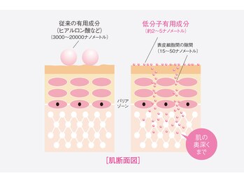 ビューティーフェイス 京阪百貨店守口店/【有用成分配合】ナノクリーム